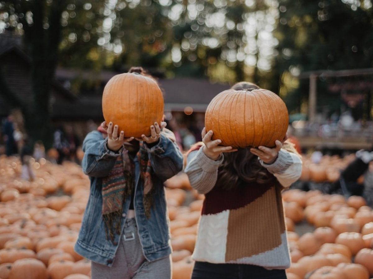 You are currently viewing 6 Fun Fall Activities for Fabulous Photos