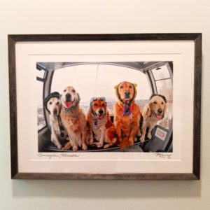 Read more about the article Dogs on a Ski Lift – Canvas