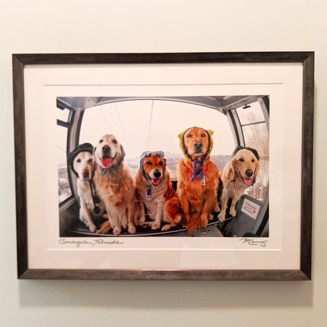 You are currently viewing Dogs on a Ski Lift – Canvas