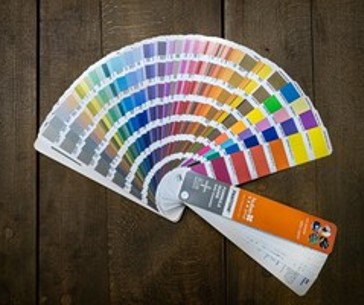You are currently viewing Pantone Unveils the Color of the Year!