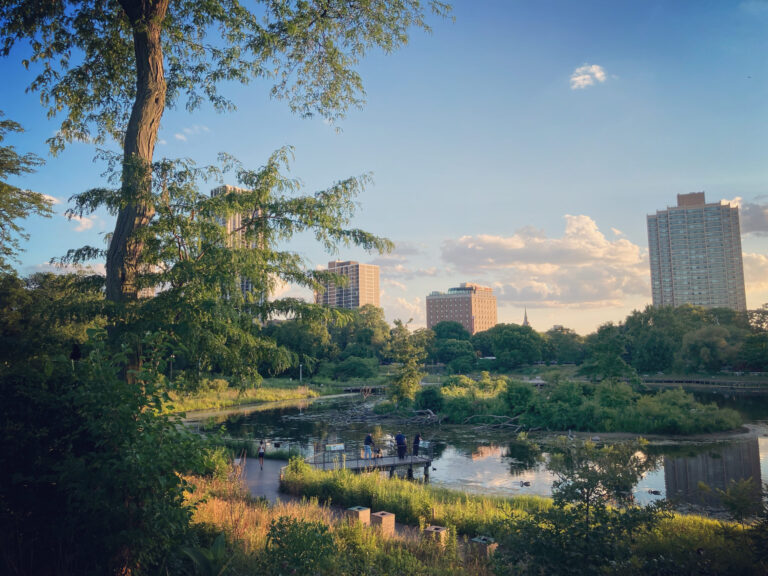 327ba83f 4d95 4f44 a9bd 96fd60ed4afd