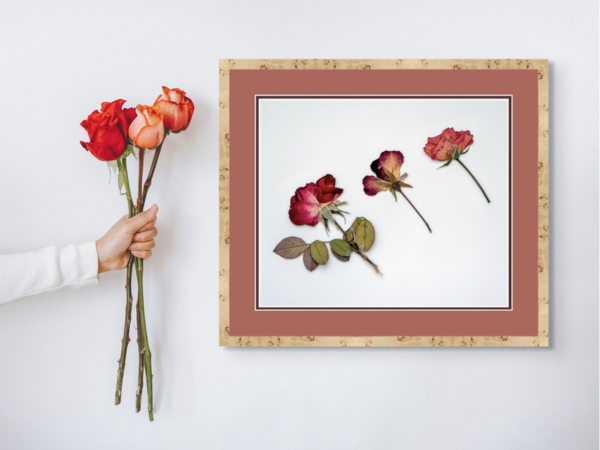 How to Frame Pressed Flowers – Greetings of Grace