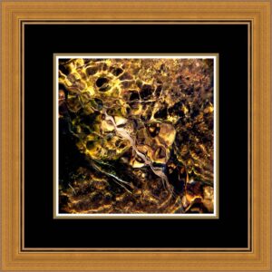 18 photos fine art 1