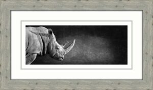 62 photos wedding rhino 2